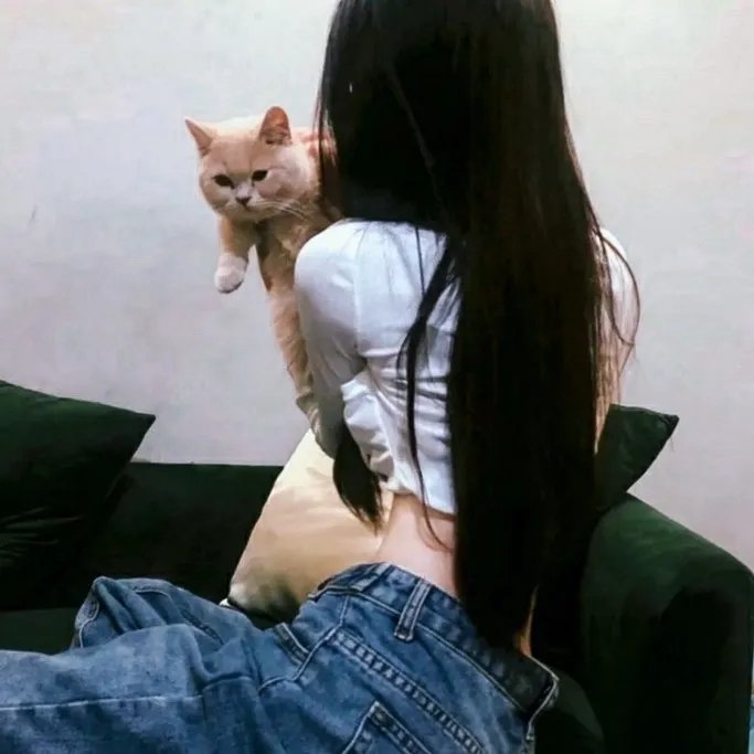 汽车维修站 在线观看